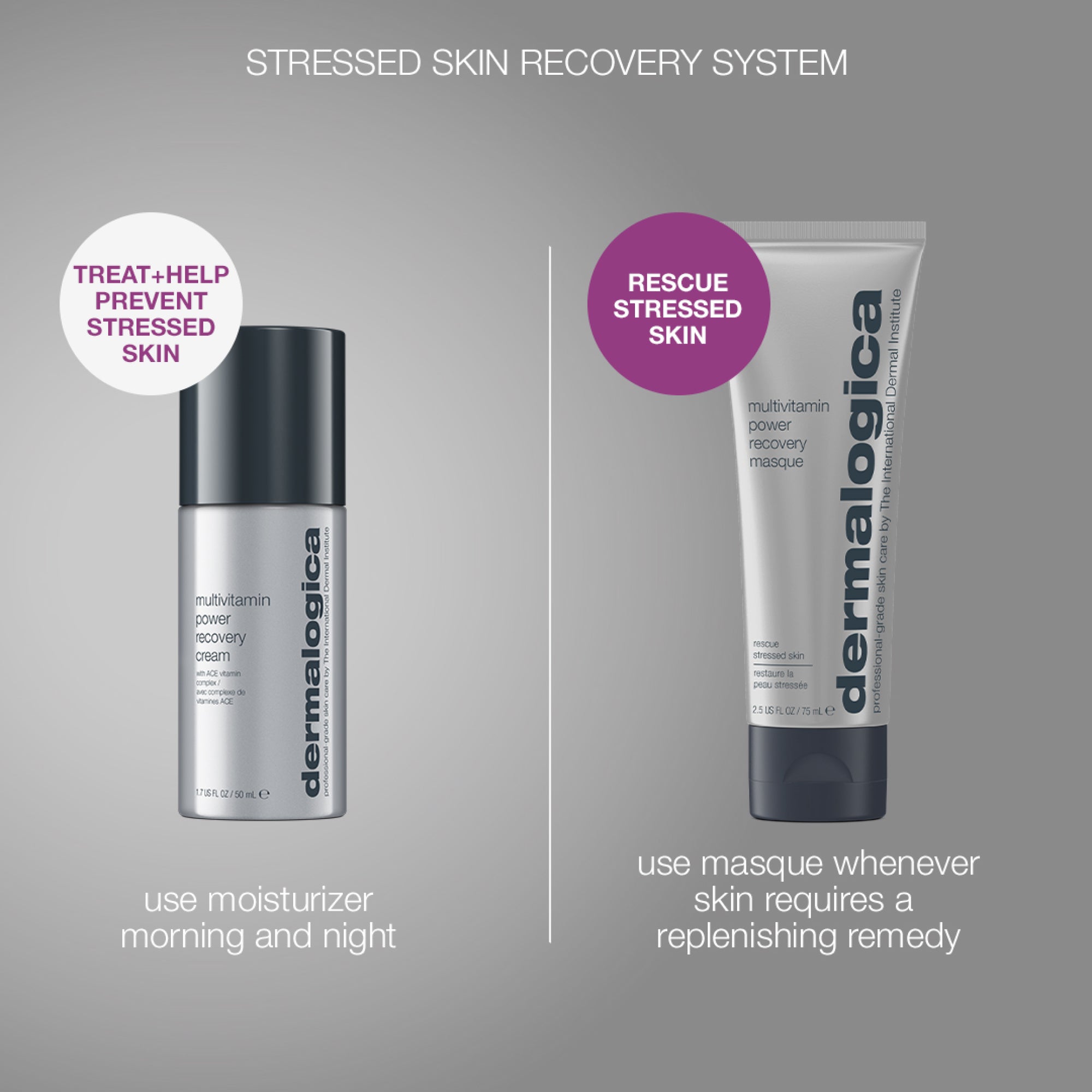 Dermalogica Pro Multivitamin shops Power Recovery Masque 6 oz